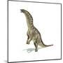 Amargasaurus Dinosaur in Dynamic Posture-null-Mounted Art Print