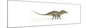 Amargasaurus Dinosaur on White Background-null-Mounted Premium Giclee Print