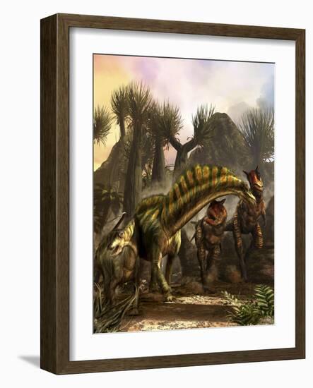 Amargasaurus Is Fending Off a Pack of Carnotaurus-Stocktrek Images-Framed Art Print