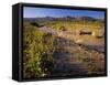 Amargosa River and Owlshead Range in Death Valley National Park, California, USA-Chuck Haney-Framed Stretched Canvas