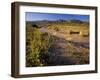 Amargosa River and Owlshead Range in Death Valley National Park, California, USA-Chuck Haney-Framed Photographic Print