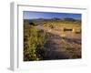 Amargosa River and Owlshead Range in Death Valley National Park, California, USA-Chuck Haney-Framed Photographic Print