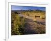 Amargosa River and Owlshead Range in Death Valley National Park, California, USA-Chuck Haney-Framed Photographic Print