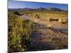 Amargosa River and Owlshead Range in Death Valley National Park, California, USA-Chuck Haney-Mounted Photographic Print