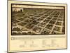 Amarillo, Texas - Panoramic Map-Lantern Press-Mounted Art Print