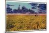 Amarillo, Texas - View of a Field of Wheat at Twilight, c.1935-Lantern Press-Mounted Art Print