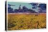 Amarillo, Texas - View of a Field of Wheat at Twilight, c.1935-Lantern Press-Stretched Canvas