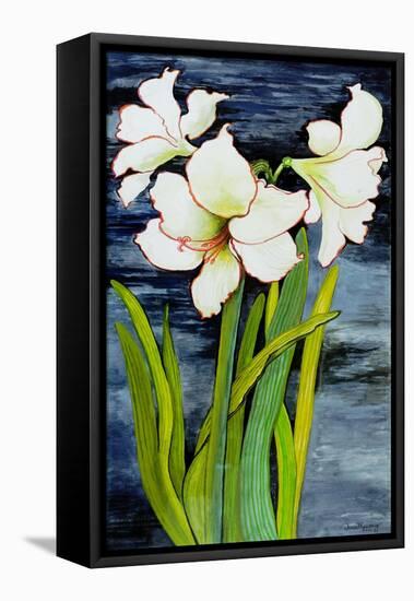 Amaryllis against a night sky-Joan Thewsey-Framed Stretched Canvas