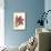 Amaryllis Blooms I-Van Houtteano-Mounted Art Print displayed on a wall