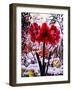 Amaryllis by Snow Window-Christopher Ryland-Framed Giclee Print