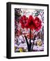 Amaryllis by Snow Window-Christopher Ryland-Framed Giclee Print