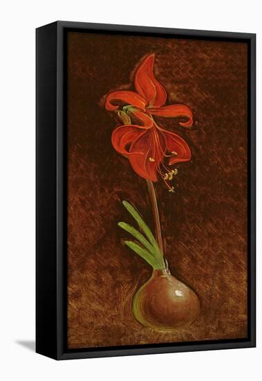 Amaryllis Formosissima, 1808-Philipp Otto Runge-Framed Stretched Canvas