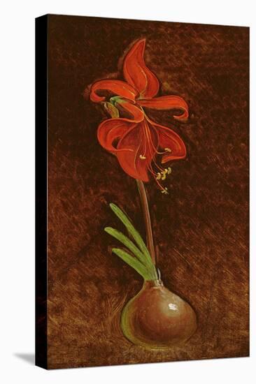 Amaryllis Formosissima, 1808-Philipp Otto Runge-Stretched Canvas