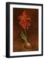 Amaryllis Formosissima, 1808-Philipp Otto Runge-Framed Giclee Print