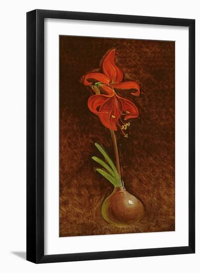 Amaryllis Formosissima, 1808-Philipp Otto Runge-Framed Premium Giclee Print