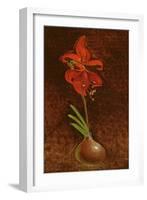 Amaryllis Formosissima, 1808-Philipp Otto Runge-Framed Premium Giclee Print