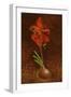 Amaryllis Formosissima, 1808-Philipp Otto Runge-Framed Premium Giclee Print