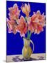 Amaryllis in a Jug, 2007-Christopher Ryland-Mounted Giclee Print