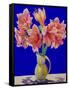 Amaryllis in a Jug, 2007-Christopher Ryland-Framed Stretched Canvas