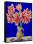 Amaryllis in a Jug, 2007-Christopher Ryland-Framed Stretched Canvas