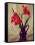 Amaryllis Lillies, in a Dark Glass Jug-Albert Williams-Framed Stretched Canvas