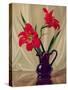 Amaryllis Lillies, in a Dark Glass Jug-Albert Williams-Stretched Canvas