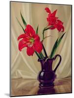 Amaryllis Lillies, in a Dark Glass Jug-Albert Williams-Mounted Giclee Print