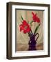 Amaryllis Lillies, in a Dark Glass Jug-Albert Williams-Framed Giclee Print