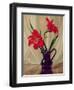 Amaryllis Lillies, in a Dark Glass Jug-Albert Williams-Framed Giclee Print