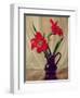 Amaryllis Lillies, in a Dark Glass Jug-Albert Williams-Framed Giclee Print