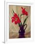 Amaryllis Lillies, in a Dark Glass Jug-Albert Williams-Framed Giclee Print