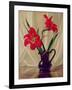 Amaryllis Lillies, in a Dark Glass Jug-Albert Williams-Framed Giclee Print