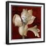 Amaryllis on Red I-Lanie Loreth-Framed Premium Giclee Print