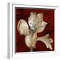 Amaryllis on Red I-Lanie Loreth-Framed Premium Giclee Print