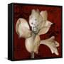 Amaryllis on Red I-Lanie Loreth-Framed Stretched Canvas