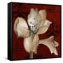 Amaryllis on Red I-Lanie Loreth-Framed Stretched Canvas