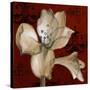 Amaryllis on Red I-Lanie Loreth-Stretched Canvas