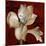 Amaryllis on Red I-Lanie Loreth-Mounted Art Print