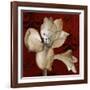 Amaryllis on Red I-Lanie Loreth-Framed Art Print