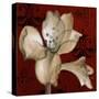 Amaryllis on Red I-Lanie Loreth-Stretched Canvas