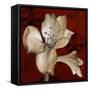 Amaryllis on Red I-Lanie Loreth-Framed Stretched Canvas