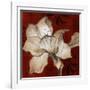 Amaryllis on Red II-Lanie Loreth-Framed Art Print