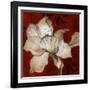 Amaryllis on Red II-Lanie Loreth-Framed Art Print