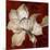 Amaryllis on Red II-Lanie Loreth-Mounted Art Print