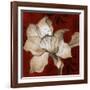 Amaryllis on Red II-Lanie Loreth-Framed Art Print