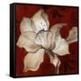 Amaryllis on Red II-Lanie Loreth-Framed Stretched Canvas