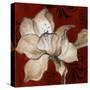 Amaryllis on Red II-Lanie Loreth-Stretched Canvas