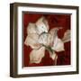 Amaryllis on Red II-Lanie Loreth-Framed Art Print