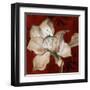 Amaryllis on Red II-Lanie Loreth-Framed Art Print