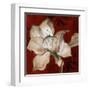 Amaryllis on Red II-Lanie Loreth-Framed Art Print